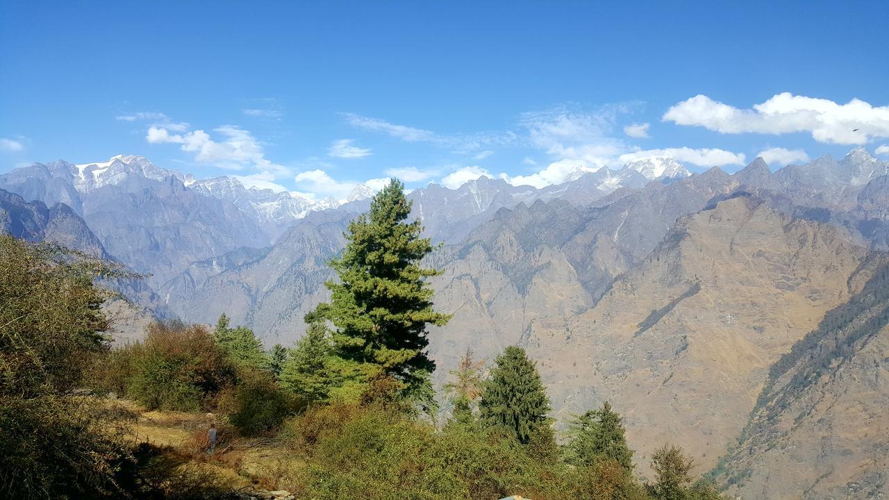 Hotel Mount View Annexy Joshimath Exterior photo