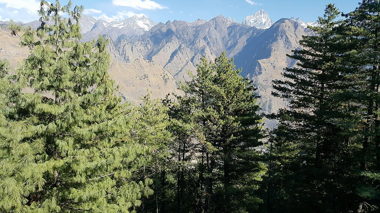 Hotel Mount View Annexy Joshimath Exterior photo